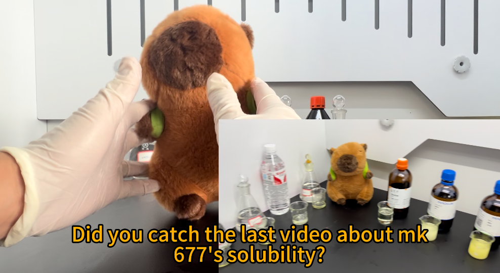1 mk677 solubility test