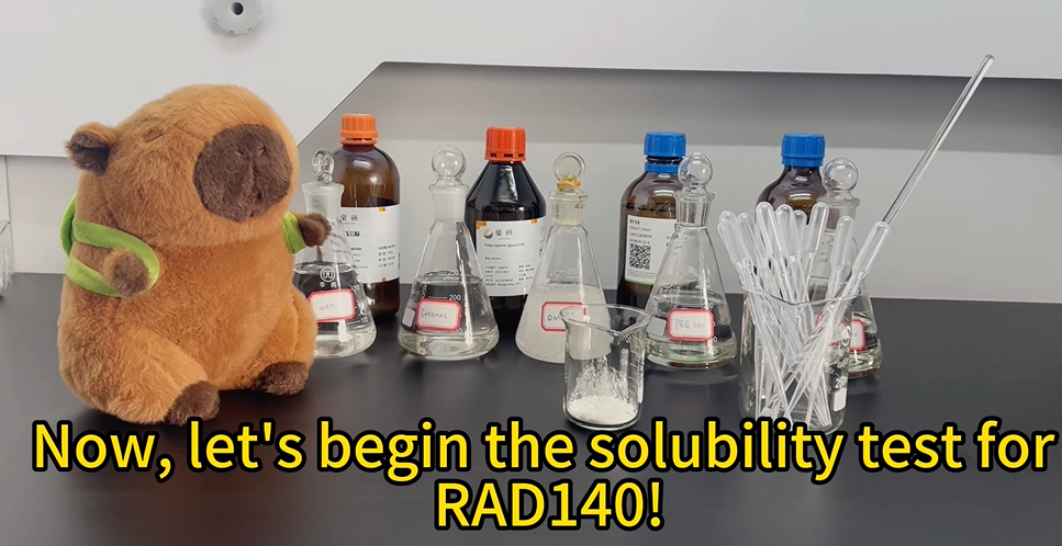 1 rad140 solubility test